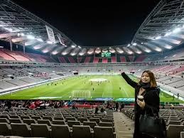 揭秘2026 FIFA世界杯美加墨草坪背后的科学与创新